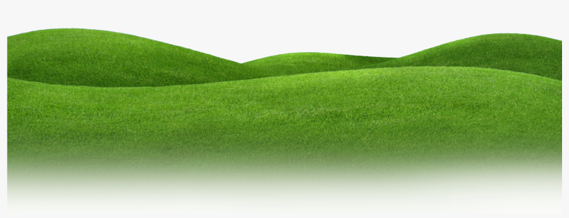 Lawn Meadow Grassland Landscape - Lawn, transparent png #794118