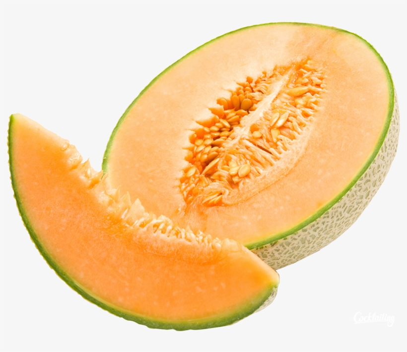 24 Gambar  Kartun Buah Melon  Gambar  Kartun Ku