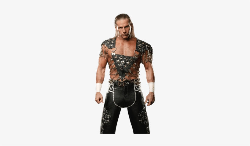 Shawn Michaels Front - Png De Shawn Michael 2018, transparent png #794281