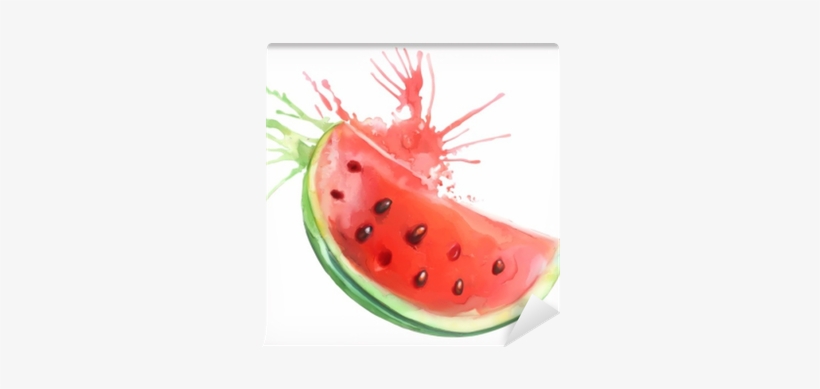Watercolor Painting, Watermelon, Vector Illustration, - Wassermelone Watercolor, transparent png #794285