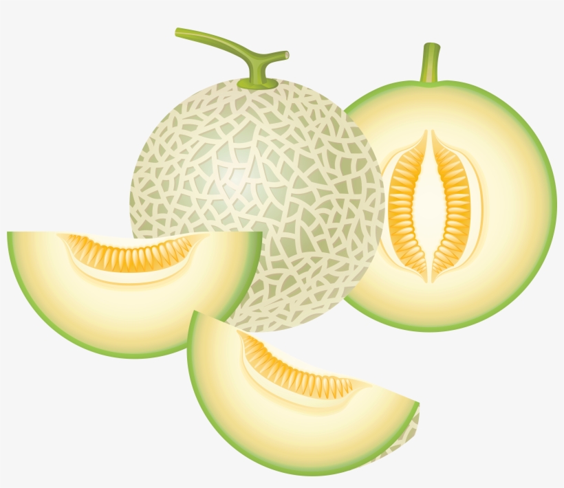 Cantaloupe Png, transparent png #794395