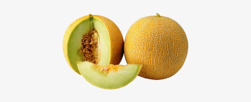 Melon Png - Can Dogs Eat Melon, transparent png #794576