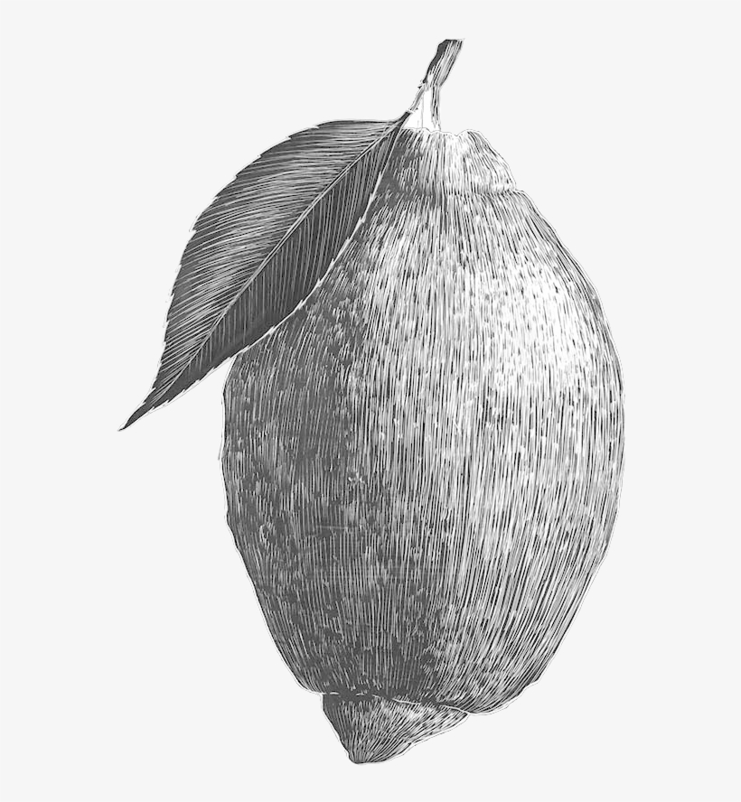 Lemon - Starfruit, transparent png #794590