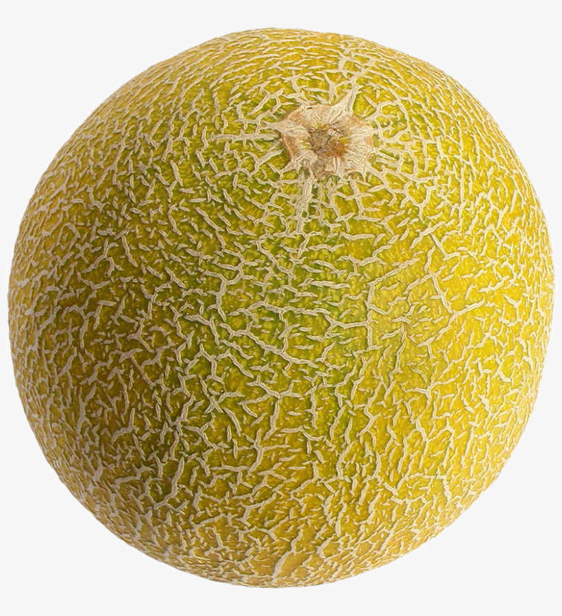 Free Png Melon Png Images Transparent - Cantaloupe Png, transparent png #794593