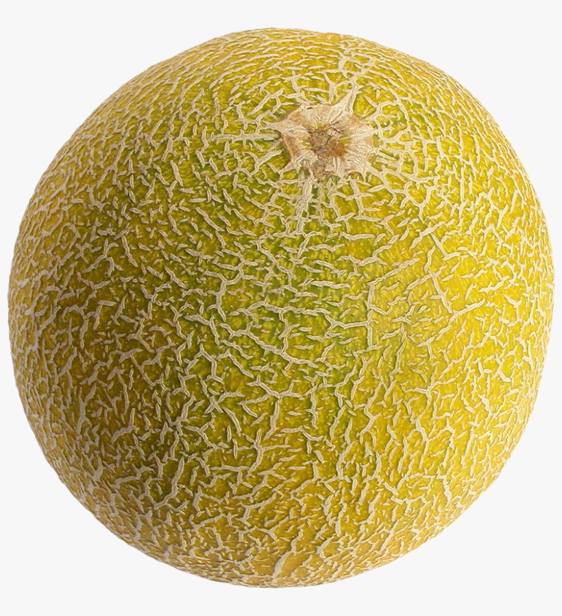 Free Png Melon Png Images Transparent Cantaloupe Png Free Transparent Png Download Pngkey