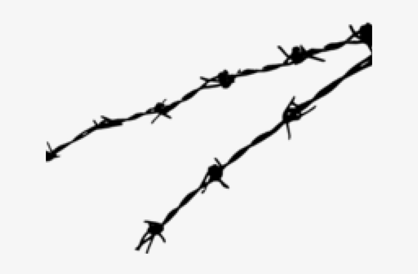 Barbwire Png Background Image - Barbwire Png, transparent png #794692