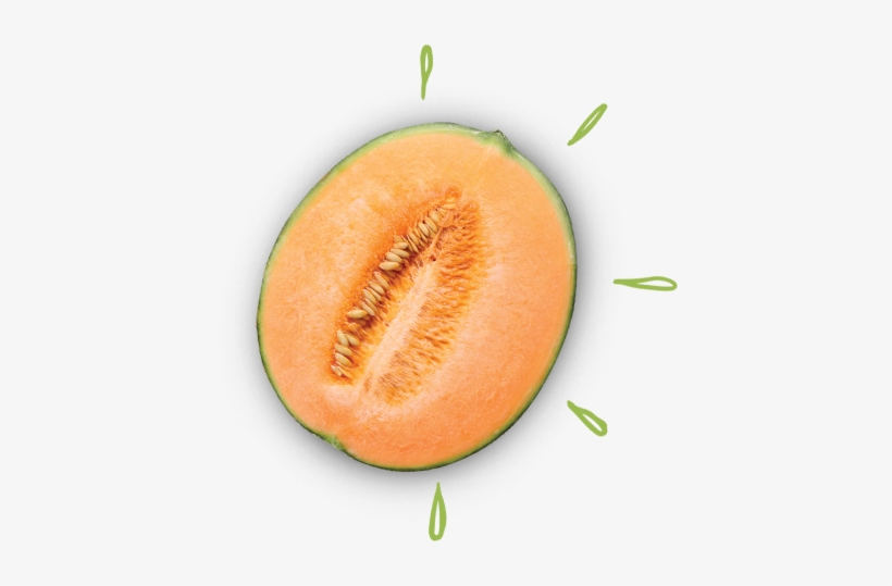 Royal Cantaloupe - Muskmelon, transparent png #794784
