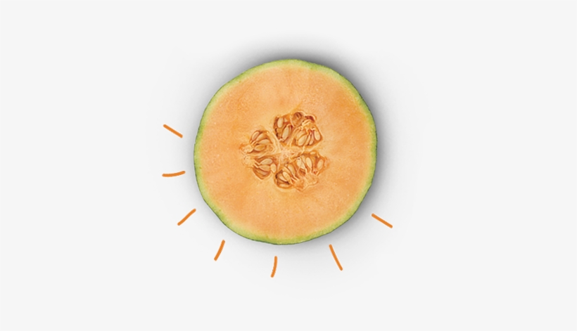 Cantaloupe - Honeydew, transparent png #795013