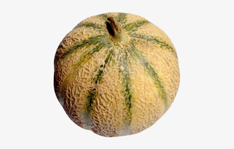 Download Melon Png Image - Portable Network Graphics, transparent png #795065