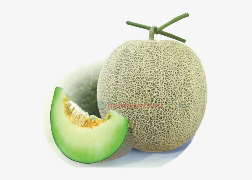 Muskmelon, transparent png #795145