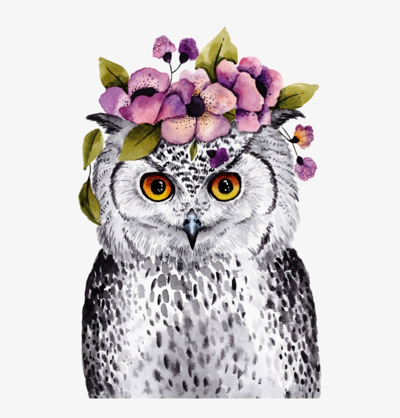 Image Du Blog Zezete2 - Owl, transparent png #795178