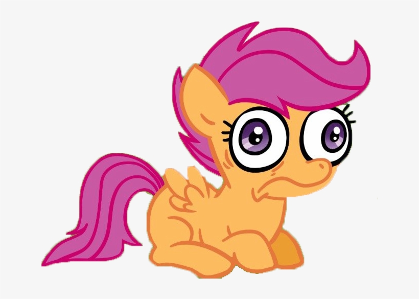 773her, Face, Safe, Scared, Scootaloo, Simple Background, - Mlp What Has Been Seen Cannot Be Unseen, transparent png #795229