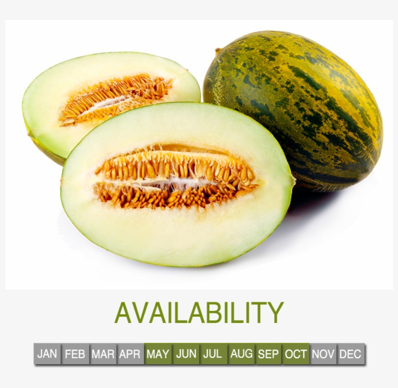 Request Information - Piel De Sapo, transparent png #795359