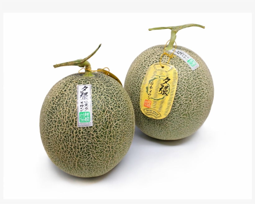 Cantaloupe, transparent png #795583