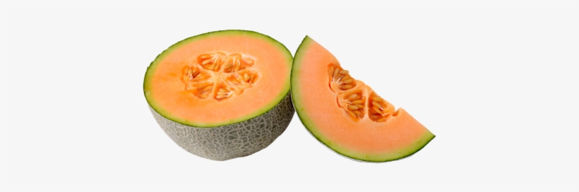 How To Store - Can Dogs Eat Melon, transparent png #795609