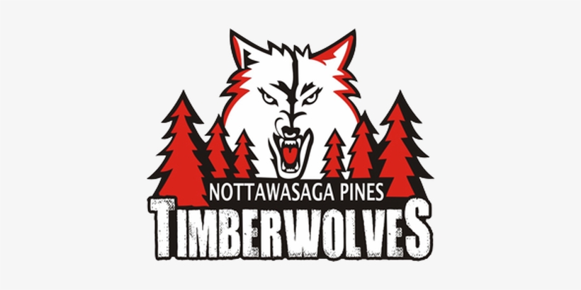 Picture - Nottawasaga Pines Secondary School Logo, transparent png #795631