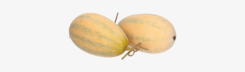 Outlet - Gourd, transparent png #795655