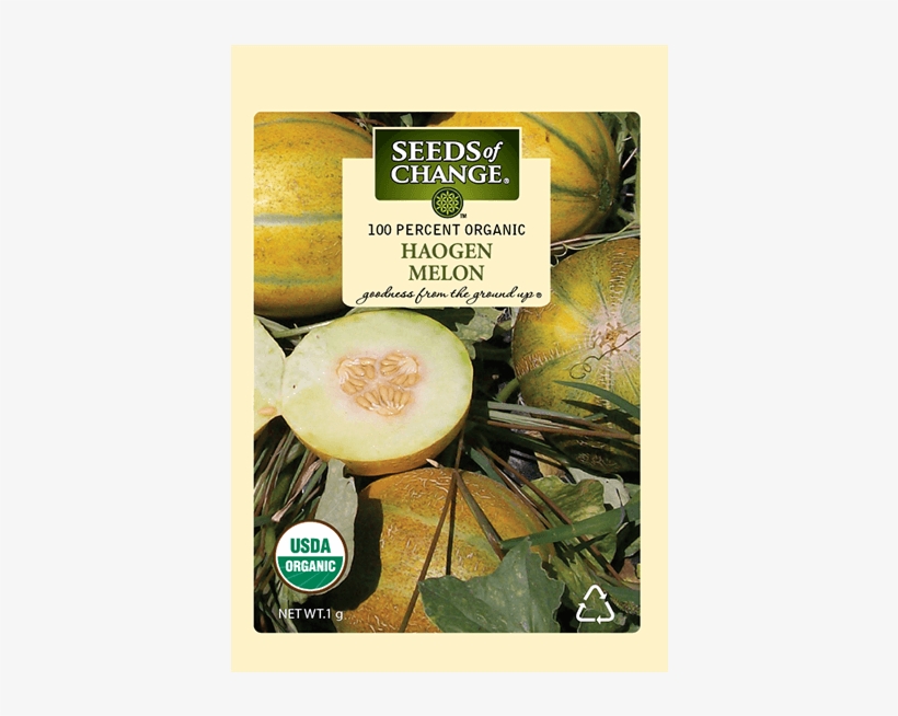 Organic Haogen Melon Seeds - Seeds Of Change 06069 Certified Organic Dill, transparent png #795682