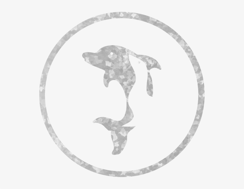 Dolphins And Sea Lions - Icon Adventures Tours, transparent png #796277