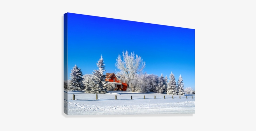 Red House Surrounded By White Trees And Snow On Blue - Canvas Print, transparent png #796605