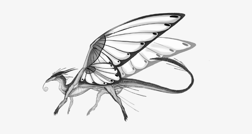 Collection Of Free Butterfly Drawing Fire Download - Drawing, transparent png #797923