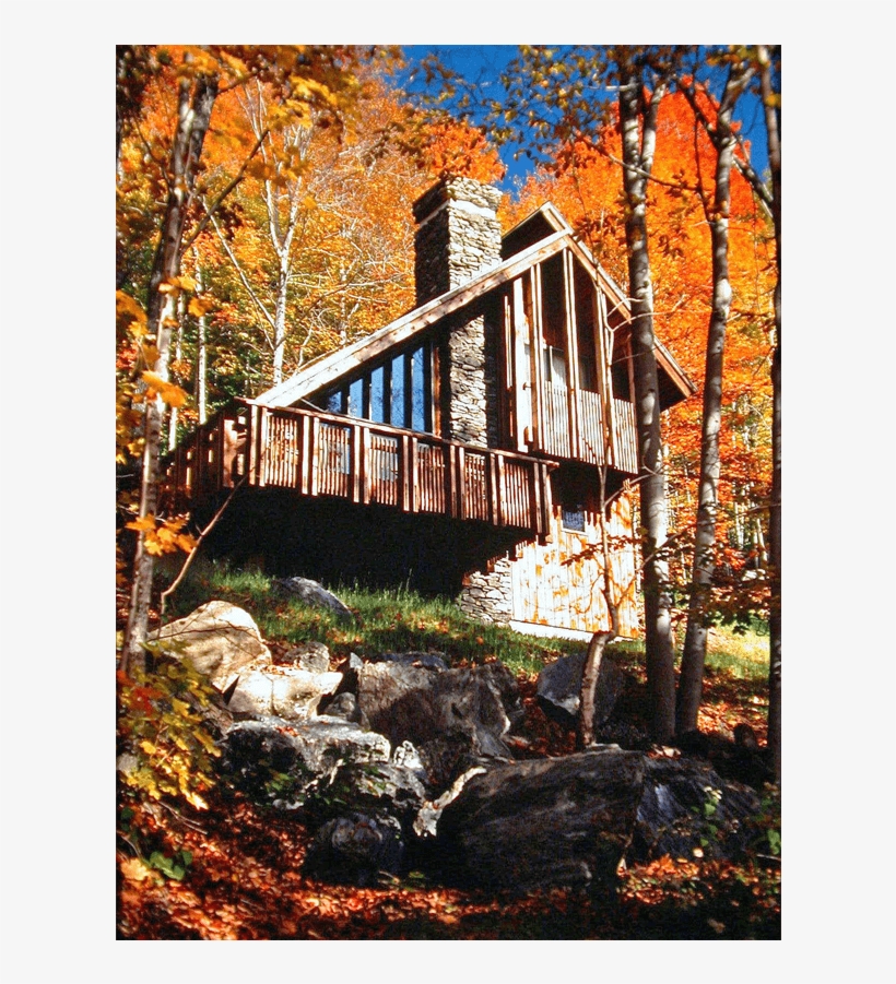 The Hawk Homes Are Unique And Were Originally Designed - Autumn, transparent png #797951