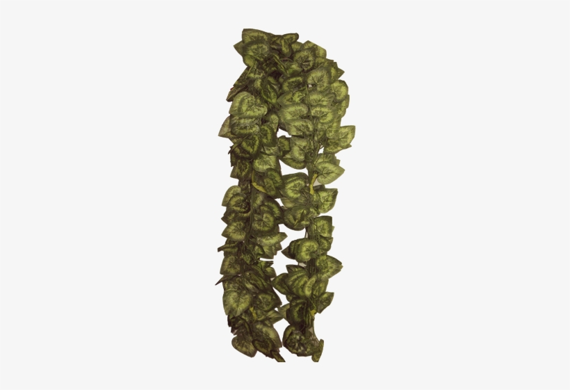 Green Vine Leaves - Massage, transparent png #798043