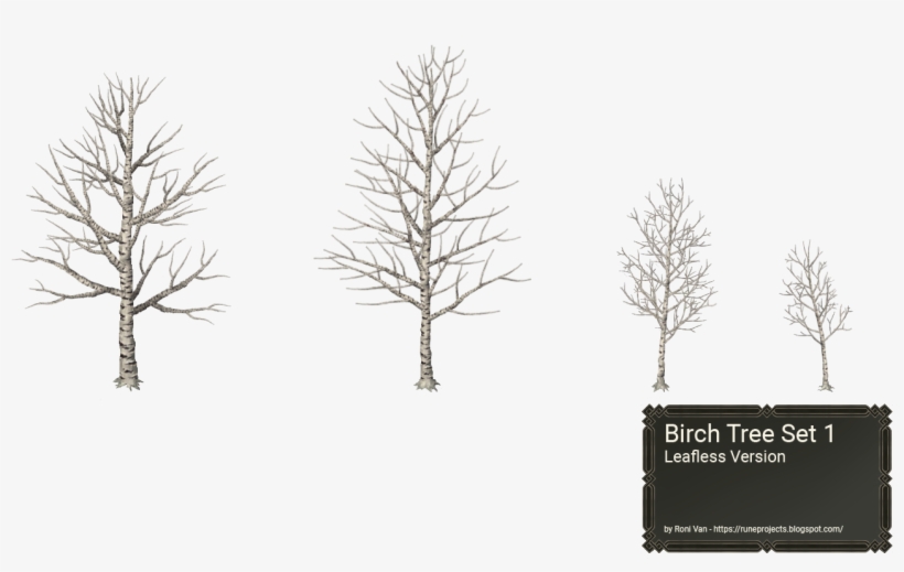 [ Img] - Leafless Birch Tree, transparent png #798718