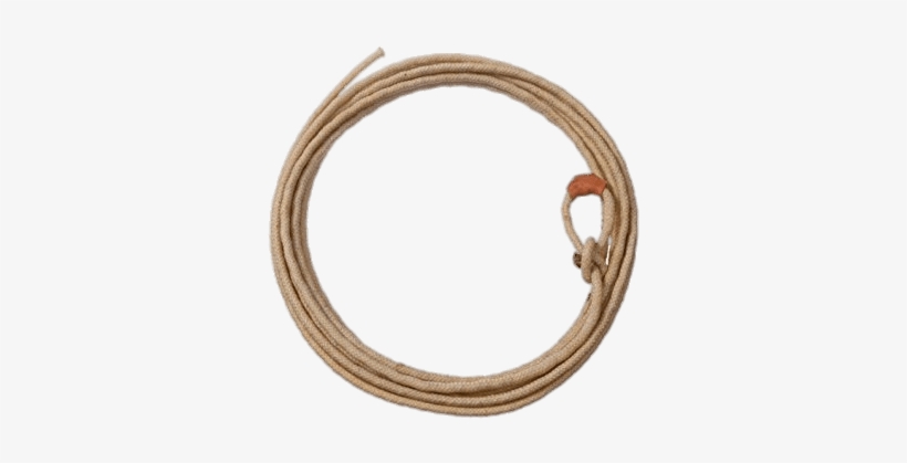 Download - Lasso Rope, transparent png #798737