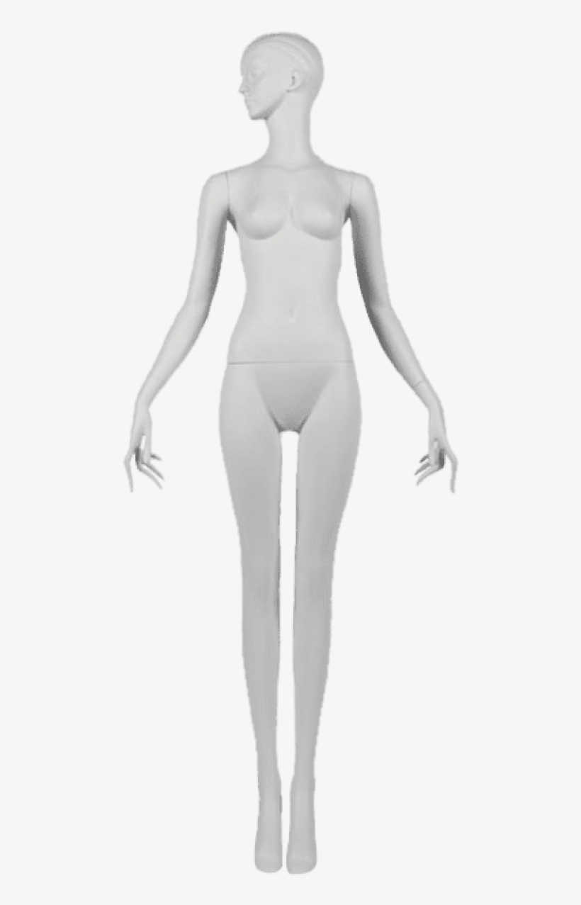 Transparent Mannequin Store Banner Library - Mannequin Transparent, transparent png #798740