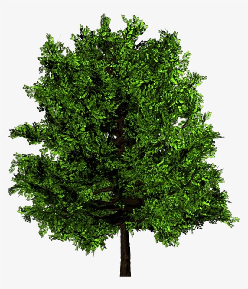 Added By Yorik On - Green Tree Png, transparent png #799184