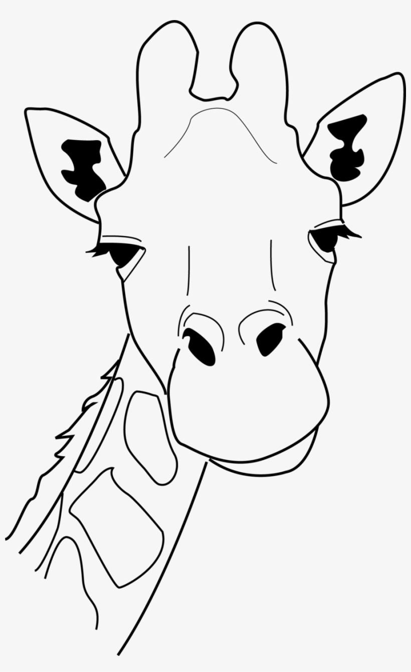 Giraffe Head Line Drawing 241412 900×1,425 Pixels - Line Drawings Of Giraffes, transparent png #799203