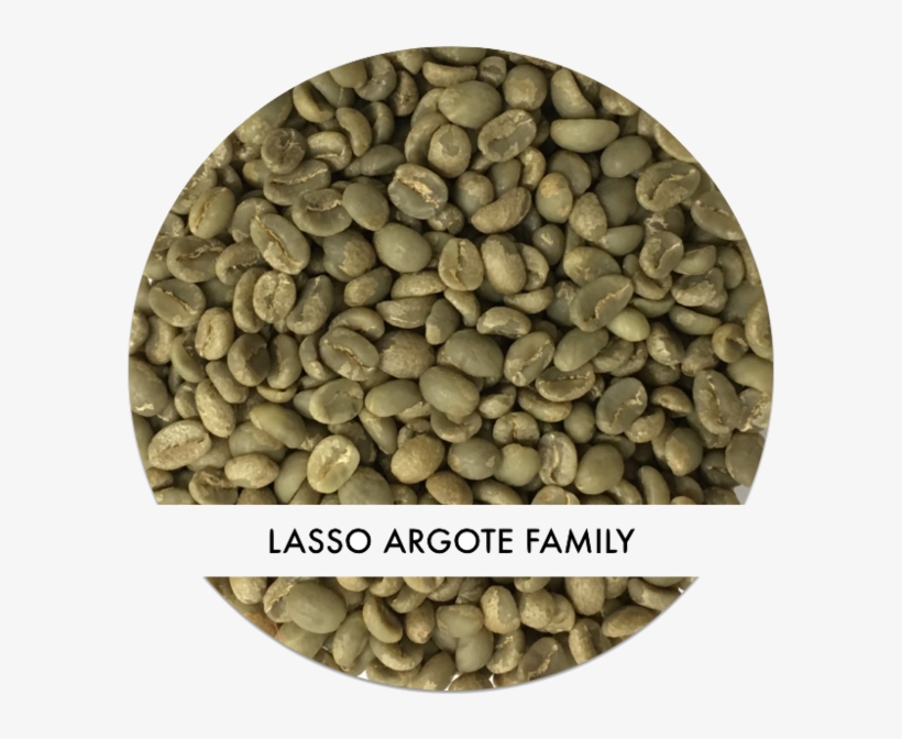 Lasso Argote Family Lot, transparent png #799568