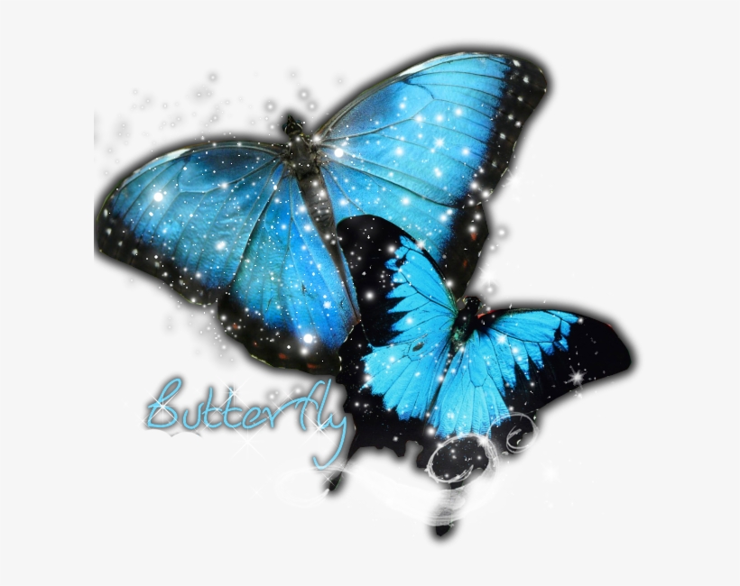 Butterfly Png - Good Silent Round Wall Clock Frameless Butterfly Stylish, transparent png #799655