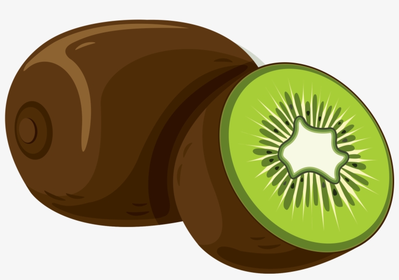 Download - Kiwifruit, transparent png #7900228