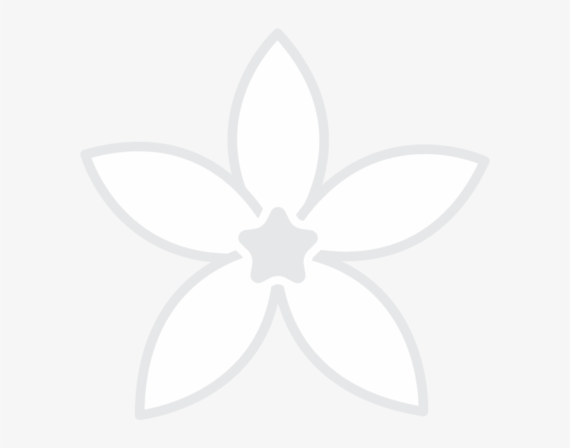Jasmine, transparent png #7900711
