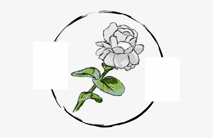 This Is Not Egalitarianism, Though It May Seem Such - Brooke Davis, transparent png #7900788