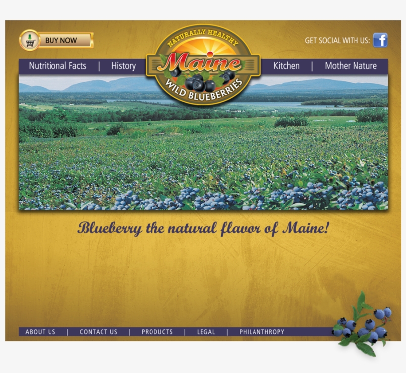 Copyright 2017 Maine Natural Fruit, Llc - Grass, transparent png #7901663