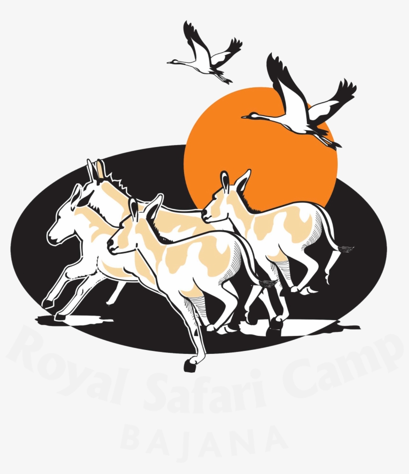 Royal Safari Camp, transparent png #7901717