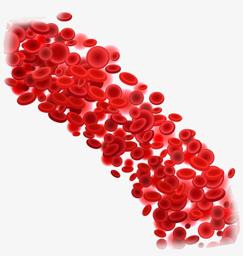 Blood Donation Download Png Image - Red Blood Cell Png, transparent png #7902171