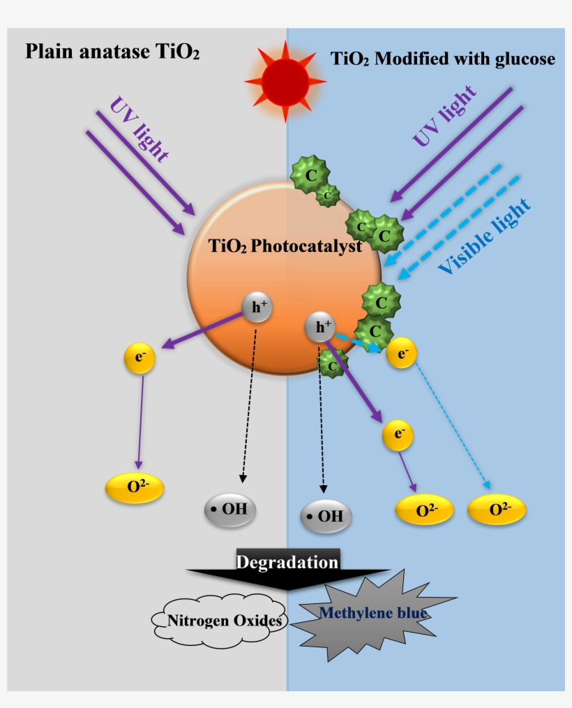 Graphical Abstract - Diagram, transparent png #7902866