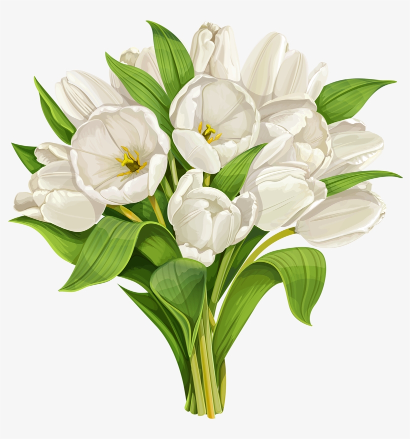 Фотки Flower Art, Flower Petals, Art Flowers, White - White Tulips Illustration, transparent png #7903187