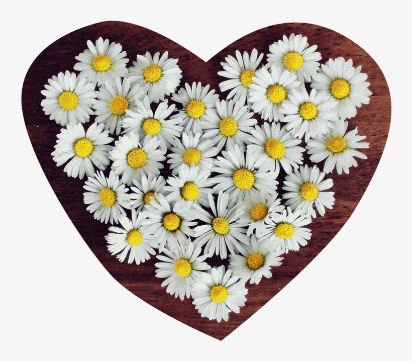 Flower Png Heart Transparent - Flower Images For Whatsapp Profile, transparent png #7903406