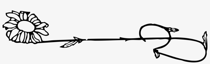 Floral Vector Designs Flower Plant Stem Common Daisy - Clip Art, transparent png #7903488