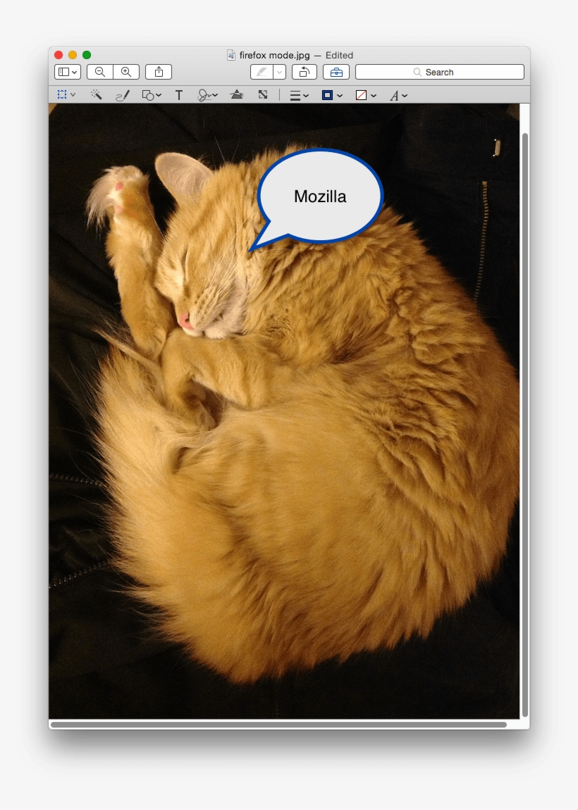 Speechbubble - Cat Yawns, transparent png #7904405