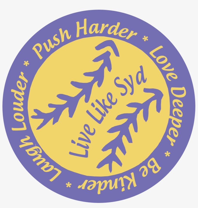 3rd Annual Usssa Live Like Syd Girls Fastpitch Softball - Camera Icon, transparent png #7907201
