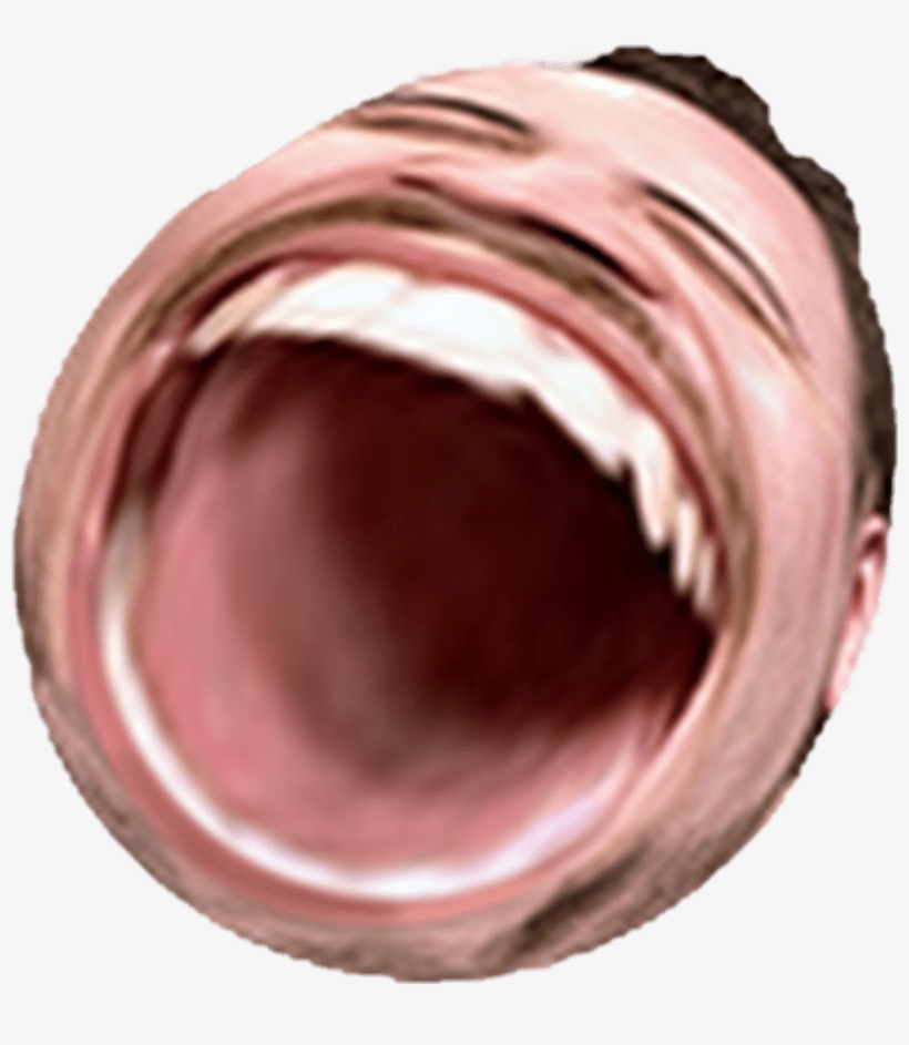 Png - Omegalul - Twitch Emote Omegalul Png, transparent png #7908802