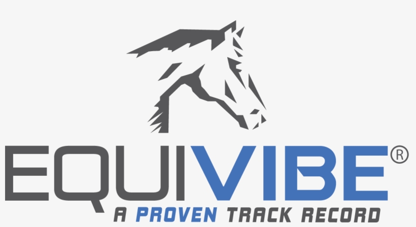 Stallion, transparent png #7910949