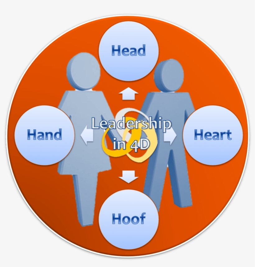 Heart Head Hands Leadership - Circle, transparent png #7911667