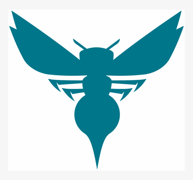 Charlotte Hornets Logos Iron On Stickers And Peel-off - Nuevo Logo Charlotte Hornets, transparent png #7912343